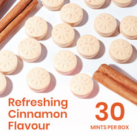 Neuro Energy Mints - Cinnamon (30 Pieces: 15 X 2 mint sachets) - Pack of 1